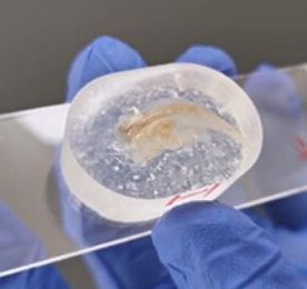 医学硬组织切片成套制备方案