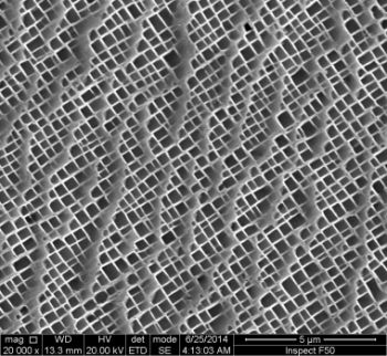 镍基高温合金扫描电镜试样SEM的制备